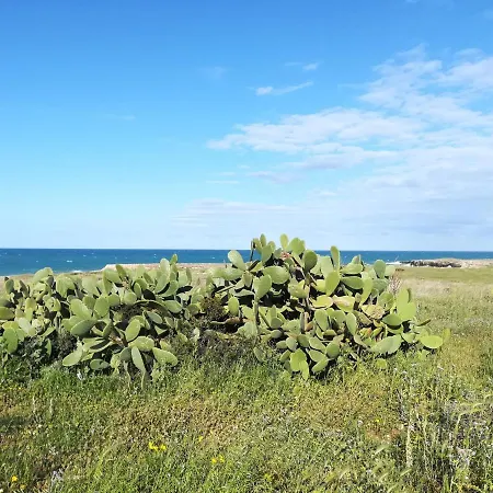 Dimora Del Sud Apartment *